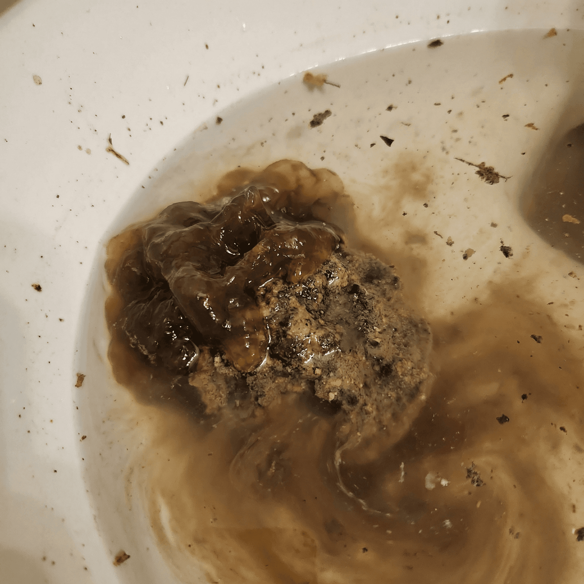 風呂釜洗浄で出てきた茶褐色の汚れの塊と泡。